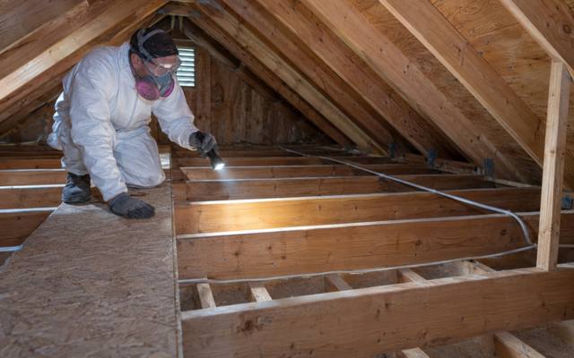Worker with a flashlight checking the bare top plates and joists of an empty attic